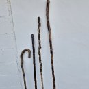 지팡이 이야기 이미지