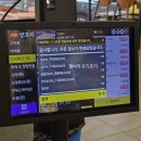 주례동 냉정역 5번 출구 | 냉정역 양꼬치 맛집 신월양꼬치 주례동 양꼬치 맛집 후기