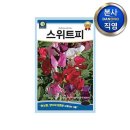 다농 이미지