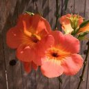 월봉서원 교육관 이미지