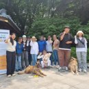 멍땅내사랑 애견유치원 애견호텔 이미지