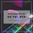 [언노운에러] 존예보스 빛이 나는 발광 키보드 케이블_내돈내산