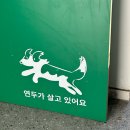 (주)엔젤코리아 | 울긋불긋하다! 울긋불긋한! falling in fall..🍂🍁