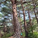 울진군립추모원 봉안당 이미지