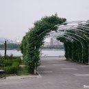 뚝섬한강공원-53 이미지