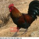 으뜸농장 이미지