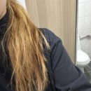 이철헤어커커 배곧신도시점 경선 디자이너 후기｜뿌염, 클리닉, 예랑이 컷트까지 대만족✨(내돈내산)