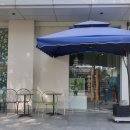 라임벨리 이미지