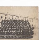 불갑초등학교 Daum카페