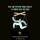 연일공인중개사사무소 이미지
