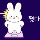 재미있는점핑다이어트 이미지