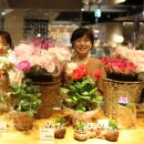 남산농원 이미지