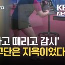 대한항공 VS 하이에나 진실공방(?) 이미지