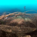 백운포로 이미지