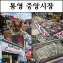 [통영/중앙시장/건어물] 배오징어와 멸치의 맛있는 유혹, 통영 중앙시장 탐방기