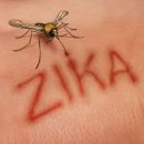 (주)지카 이미지