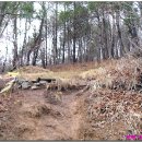 벌재농장 | 백두대간16회차(벌재~차갓재)17소구간 -남진-