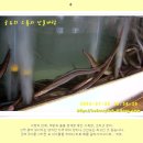 갯마을장어전문 이미지