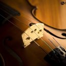 남부순환로317길 84 이미지