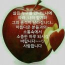 토요일 이미지