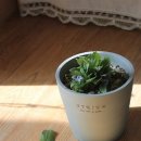 봄꽃에서첫눈까지 이미지