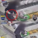15일 자격정지 받은 수산시장 중매인 이미지
