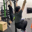 크로스핏 무브먼트 이미지