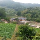 연꽃펜션 이미지