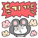 솔핏PT 이미지