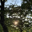 O-4 | [내돈내산] 2026년 전북 남원 춘향제 즐기고 명지각 동관 ‘솔’ 숙소 숙박 강력 추천 후기