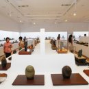 포항바다화석박물관 이미지