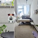 잘살개(J·DOG) 이미지