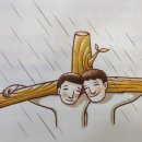 바라보다행신점 이미지