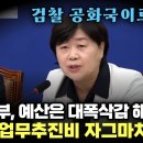 ﻿정부는 긴축재정 한다고 하는데...공판검사 업무추진비는 자그마치 15배 증액? 이미지