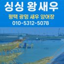 고덕양어장 네이버블로그