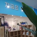베네치아요트서울마리나