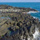 양남주상절리 이미지