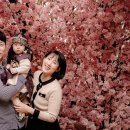 한방서당 | 돌스냅 추천 예담헌 종로 본점 한옥돌스냅 돌잔치 촬영 후기