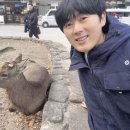 와이스토리