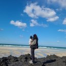 제주 덕수재 | 제주도 두돌 아기랑 갈만한 독채펜션 후보 정리(서쪽/남쪽 위주)