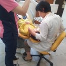 성산부부치과 Daum카페