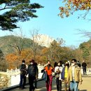 현대수콘도오락실 이미지