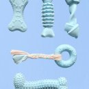 제이제이펫 이미지