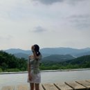 [태안/보령] 여행지 숙소, 카페 추천(고래정원펜션, 호텔 쏠레르, 피엠뷰, 커피인터뷰 파도리, 갱스커피)