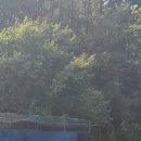 우리염소 이미지