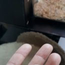 모터 한