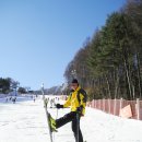 휘닉스파크 이미지