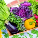 원예기능사 이미지