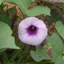 진부농장 이미지