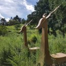 이수도섬펜션 이미지